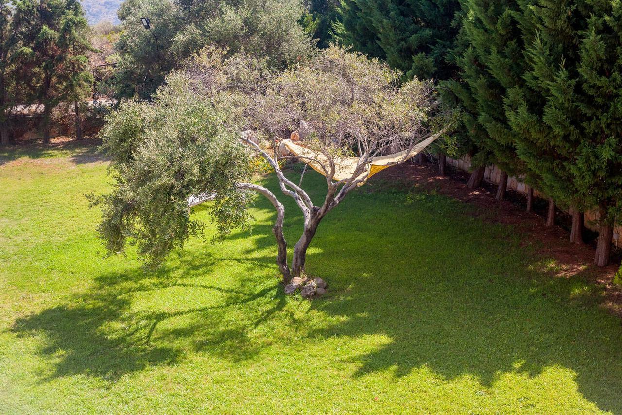 Mg Cozy Garden View Studio Korakiaí Εξωτερικό φωτογραφία